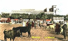 le marche 01